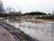 DSC03450_edited-1.jpg