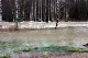 IMG_5557_edited-1.jpg