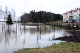 IMG_5558_edited-1.jpg