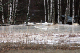IMG_5563_edited-1.jpg