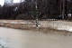 IMG_5567_edited-1.jpg