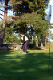 IMG_0246_edited-1.jpg