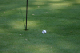 IMG_0248_edited-1.jpg
