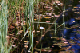 IMG_0290_edited-1.jpg