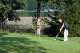 IMG_0313_edited-1.jpg