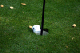 IMG_0335_edited-1.jpg