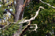 IMG_0381_edited-1.jpg