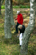 IMG_0432_edited-1.jpg