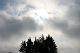 IMG_5855_edited-1.jpg