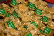 CRW_6380.jpg