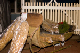 CRW_6402.jpg