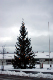 IMG_8179_edited-1.jpg