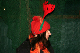 IMG_8237_edited-1.jpg
