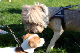 IMG_4300_edited-1.jpg