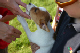 IMG_4312_edited-1.jpg