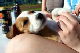 IMG_4320_edited-1.jpg