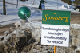 IMG_6377_edited-1.jpg