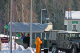 IMG_6389_edited-1.jpg
