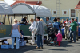 IMG_7419_edited-2.jpg