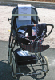 IMG_7479_edited-1.jpg