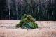 CRW_6692.jpg