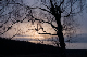 CRW_6696.jpg
