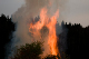 CRW_6756.jpg