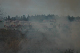 CRW_6853.jpg