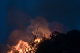 CRW_8556.jpg