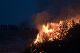 CRW_8557.jpg