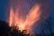 CRW_8562.jpg