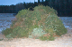 CRW_9634.jpg