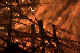 CRW_9658.jpg