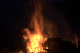 CRW_9665.jpg