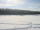 DSC00333.jpg