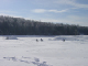 DSC00334.jpg