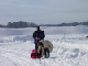 DSC00347.jpg
