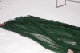 IMG_5745_edited-1.jpg