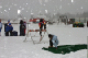 IMG_5902_edited-1.jpg