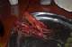 CRW_7838.jpg