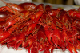 CRW_8313_15.jpg