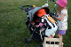IMG_4584_edited-1.jpg