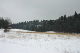 IMG_2649_edited-1.jpg