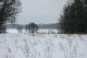 IMG_2652_edited-2.jpg