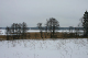 IMG_2656_edited-3.jpg