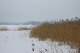 IMG_2677_edited-2.jpg