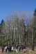 IMG_3162_edited-1.jpg
