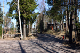 IMG_3182_edited-1.jpg