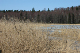 IMG_3193_edited-1.jpg