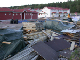 DSCN8978.jpg